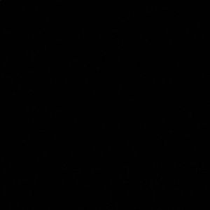 Meet your Posher, Brady